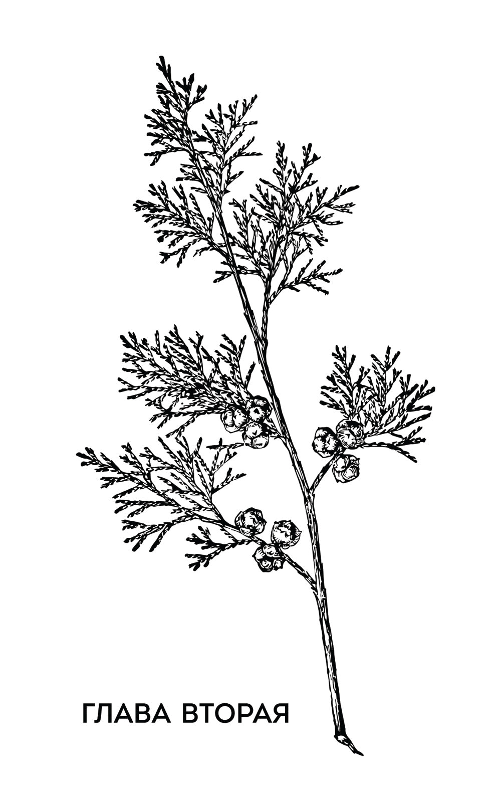 Элегантная головоломка. Системы инженерного менеджмента