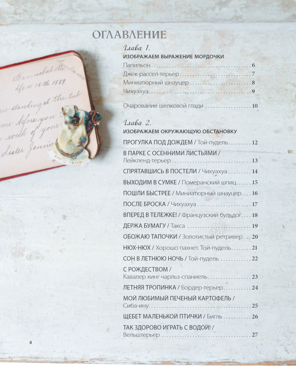 Портретная вышивка. Самоучитель по «рисованию» собак вышивальной иглой (чихуахуа)