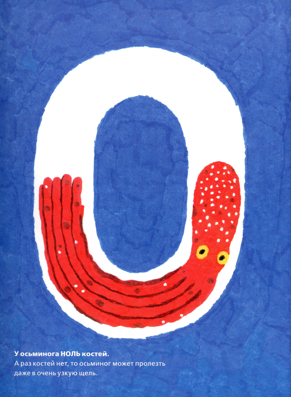 У осьминога ноль костей: книга-считалка о нашем удивительном мире