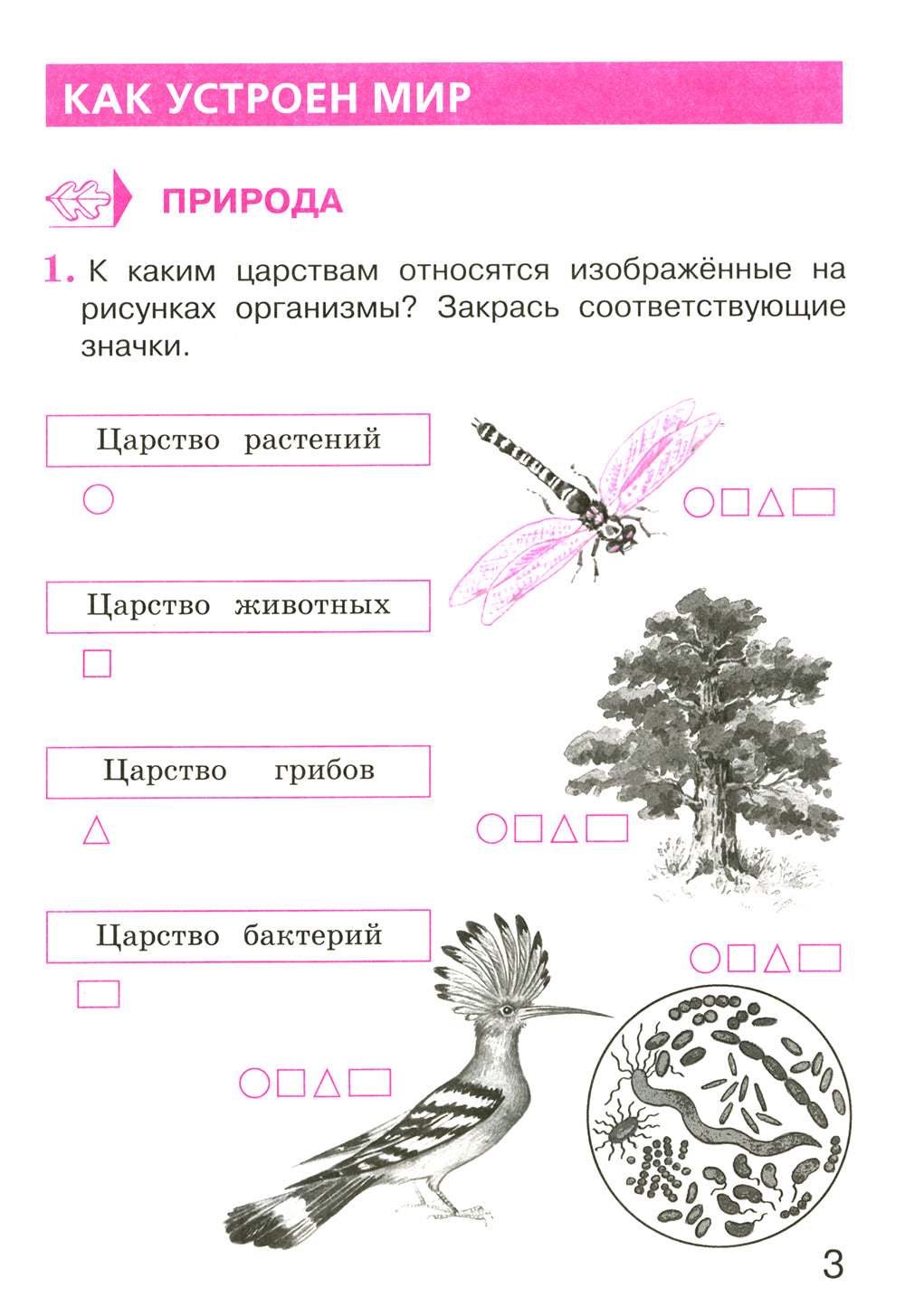 Окружающий мир. 3 кл. В 2 ч. Ч. 1. Тетрадь для тренировки и самопроверки. 10-е изд., стер