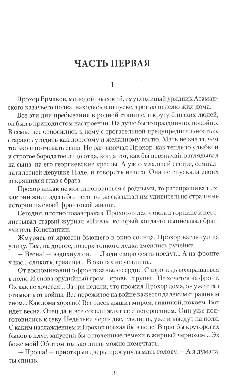 Юг в огне: роман