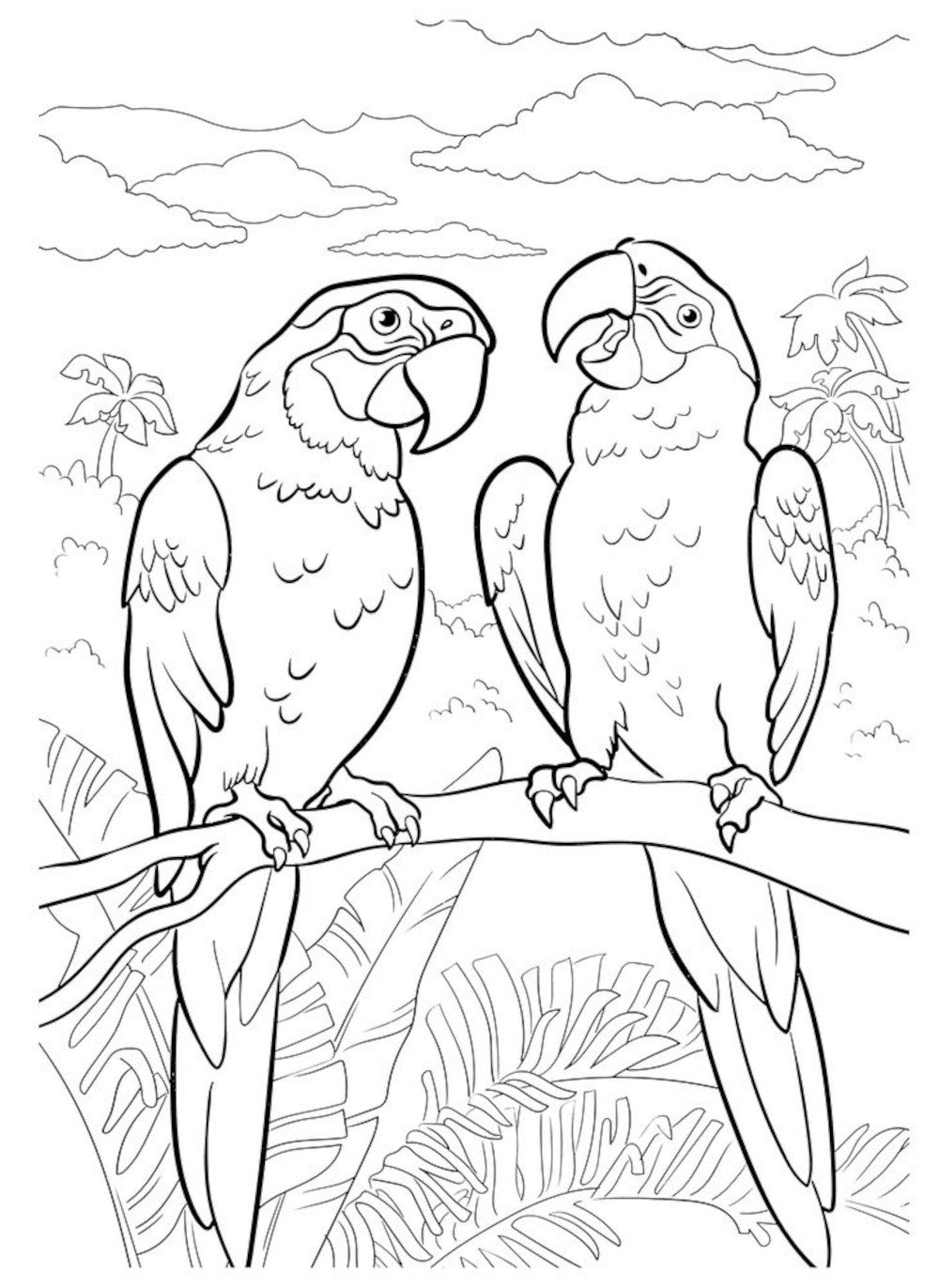 Megaraccrask. Животные