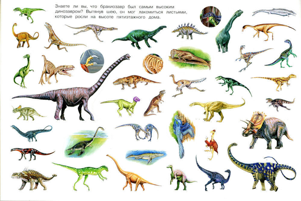 Dinosaures (Очень много наклеек)