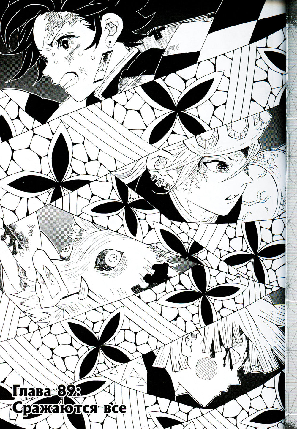 Истребитель демонов. Т. 11: Сражаются все: манга