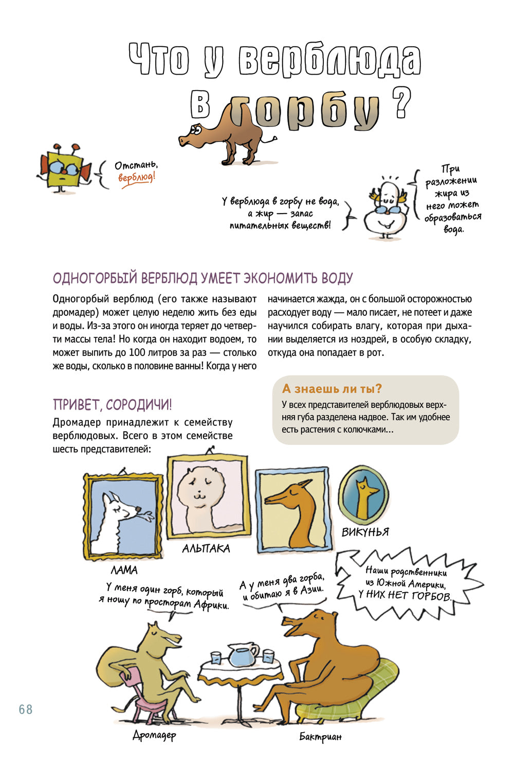 Наука не скука