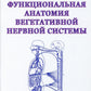 L'anatomie fonctionnelle du système nerveux végétal. Je vais essayer de le faire. 2-e jour