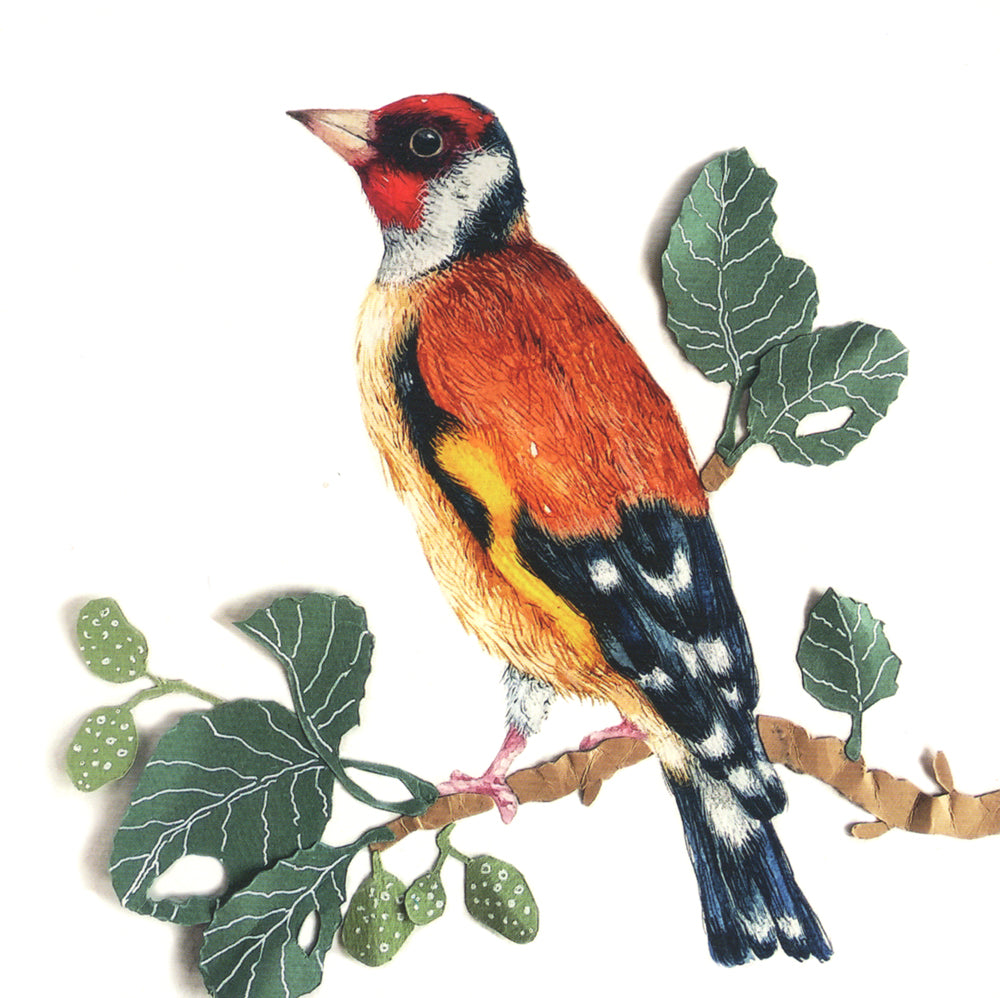 Где твоя птица?