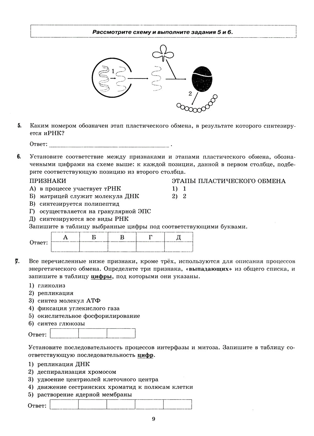 ЕГЭ 2024. Биология. 15 вариантов. Типовые варианты экзаменационных заданий от разработчиков ЕГЭ