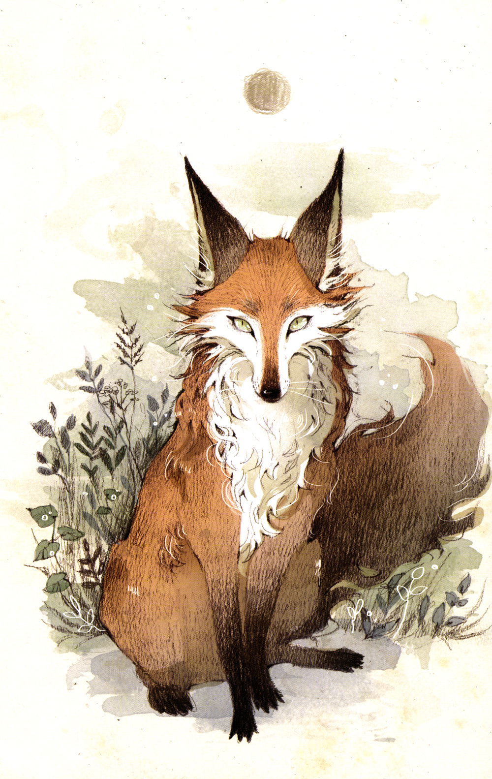 Фрэнсис: графический роман