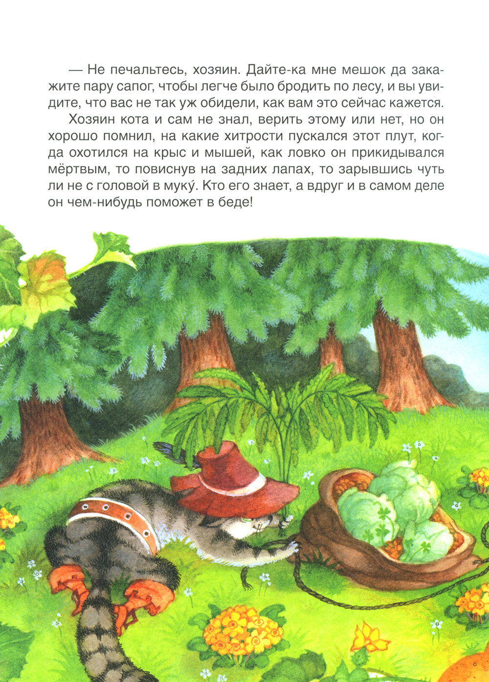 Самые лучшие сказки