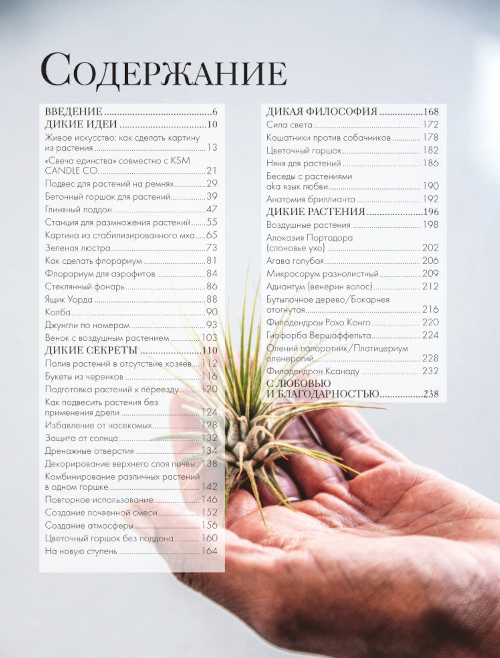 Дикие творения. Вдохновляющие идеи и проекты по созданию дикого интерьера