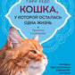 Кошка, у которой осталась одна жизнь