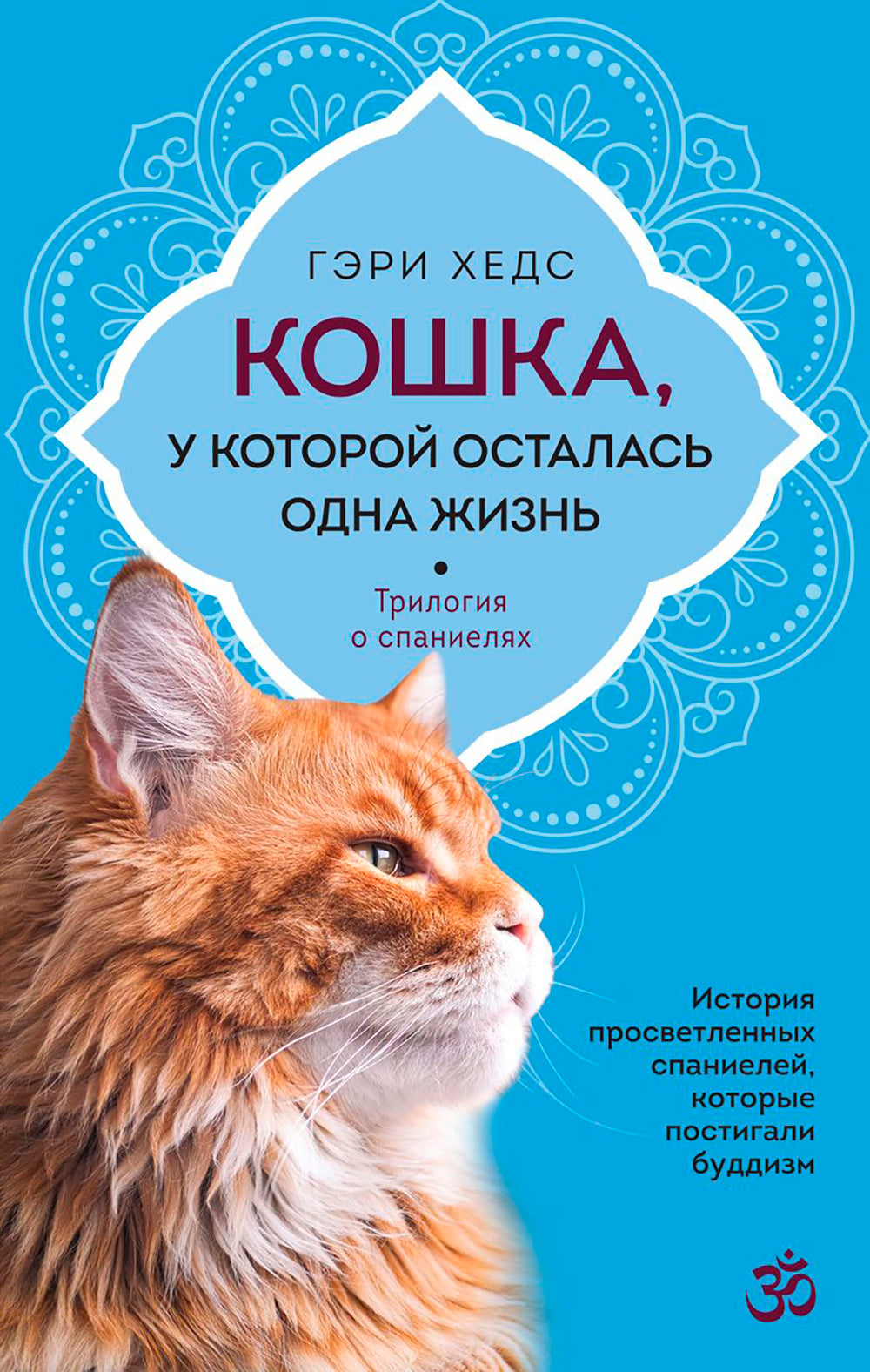 Кошка, у которой осталась одна жизнь