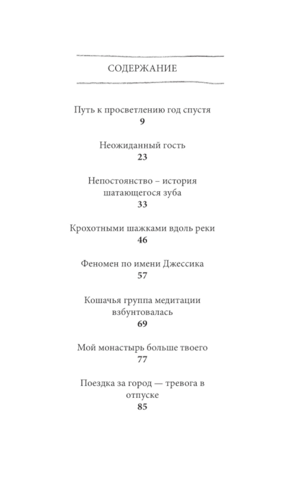 Кошка, у которой осталась одна жизнь