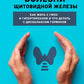 Болезни щитовидной железы. Как жить с гипо- и гипертиреозом и что делать при дисбалансе гормонов