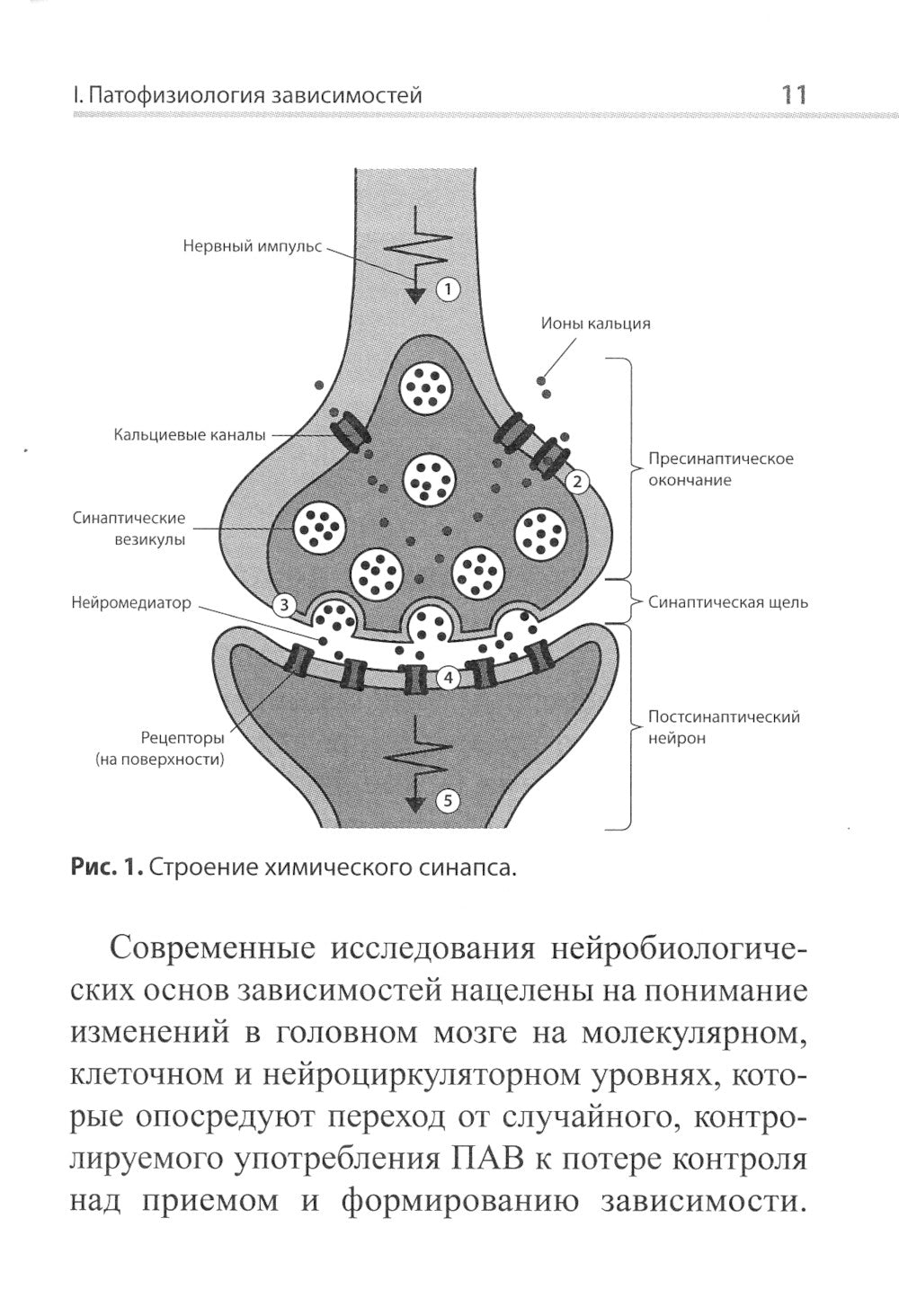 Психофармакотерапия для практикующих наркологов: руководство для врачей