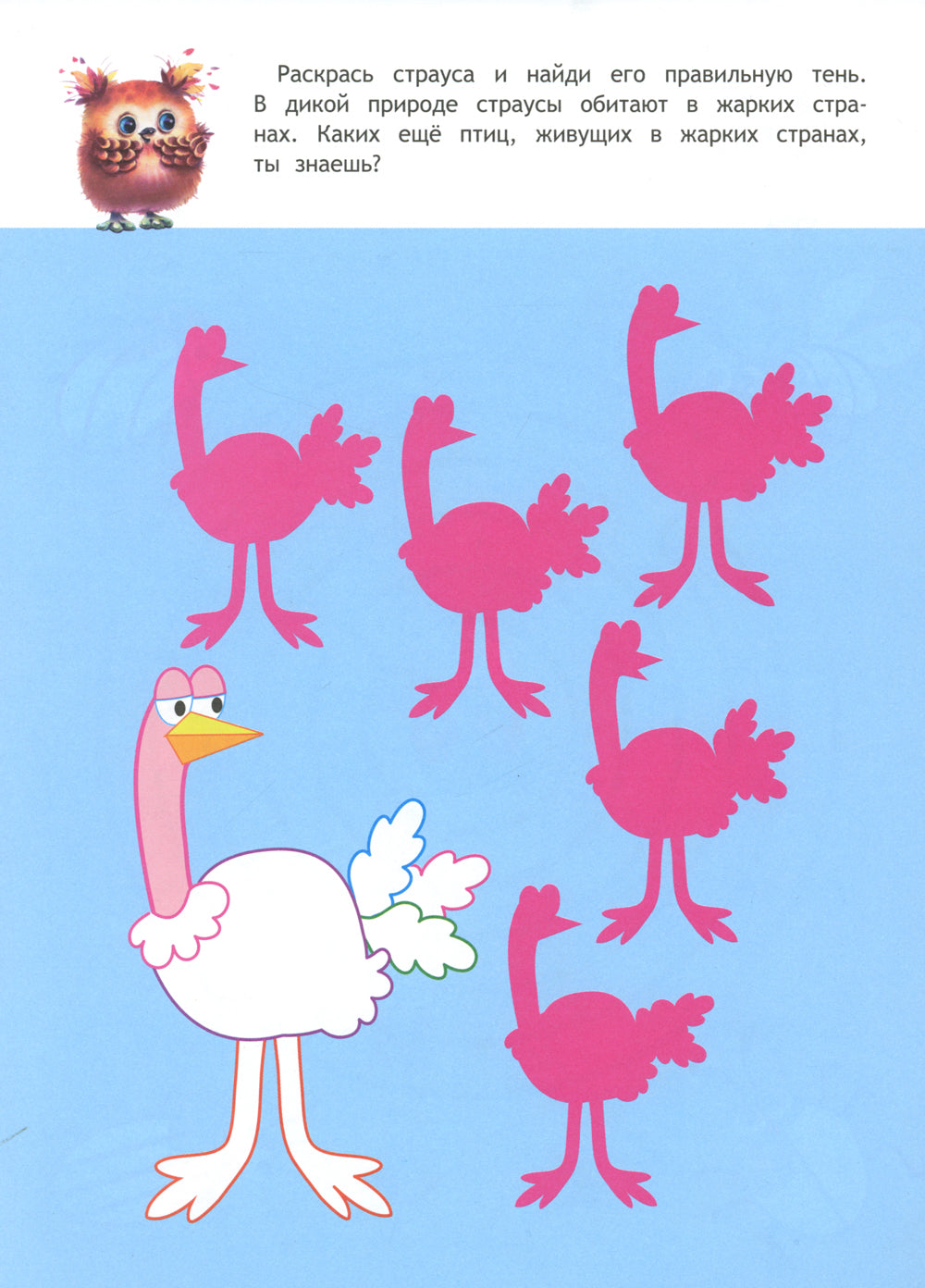 Prends soin de toi, amuse-toi bien: книжка с наклейками. 5-6 lettres