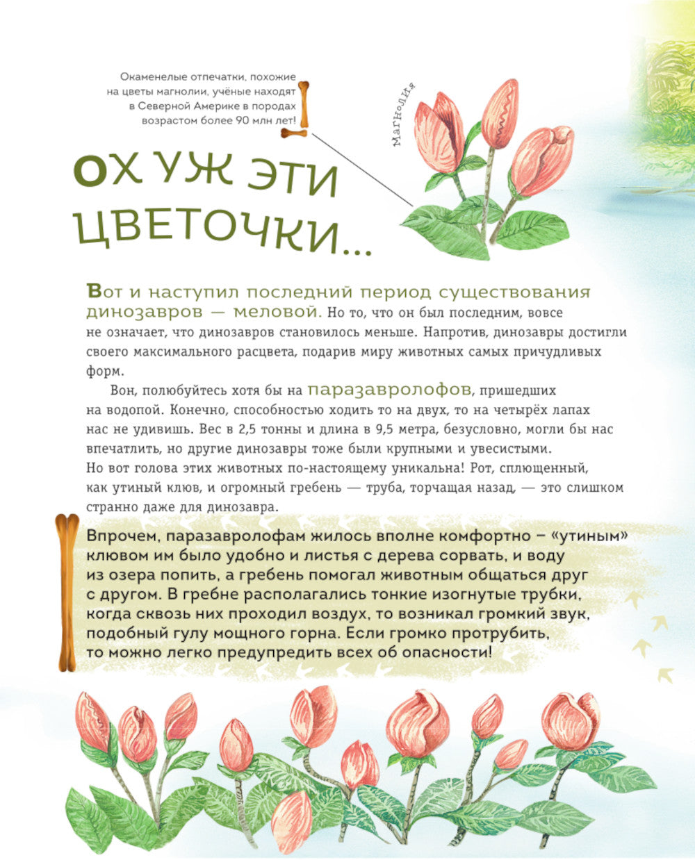 Les dinosaures de la meilleure période