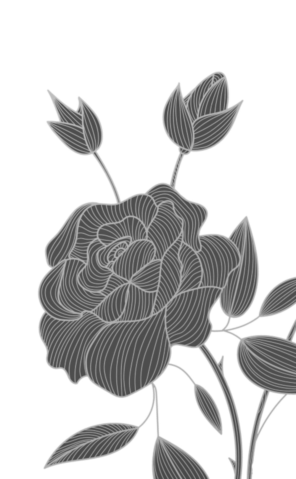 Черные розы