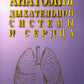 Анатомия дыхательной системы и сердца: Учебное пособие. 14-е изд., перераб. и испр