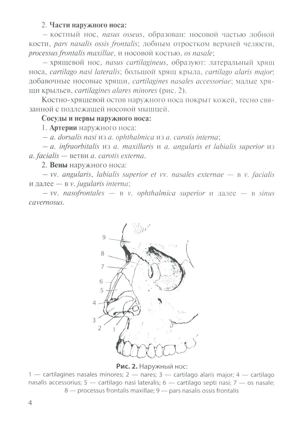 Анатомия дыхательной системы и сердца: Учебное пособие. 14-е изд., перераб. и испр