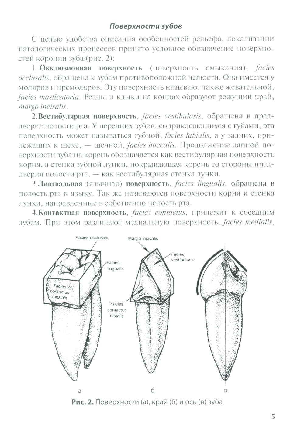 Анатомия зубов человека. 5-е изд., доп. и испр