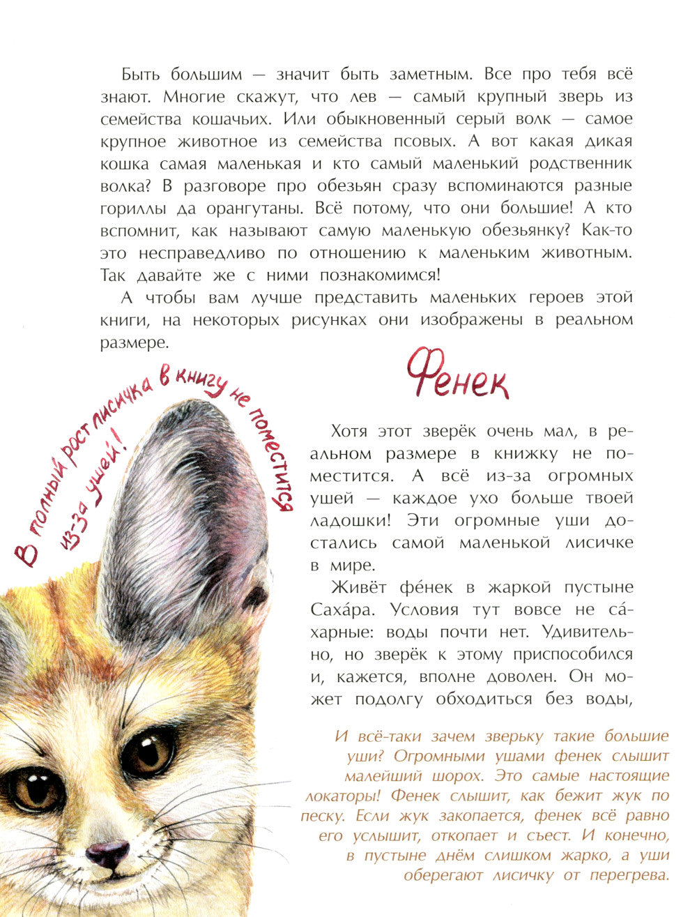 Животные-малютки. Кто на свете меньше всех? Вып. 163. 4-е изд