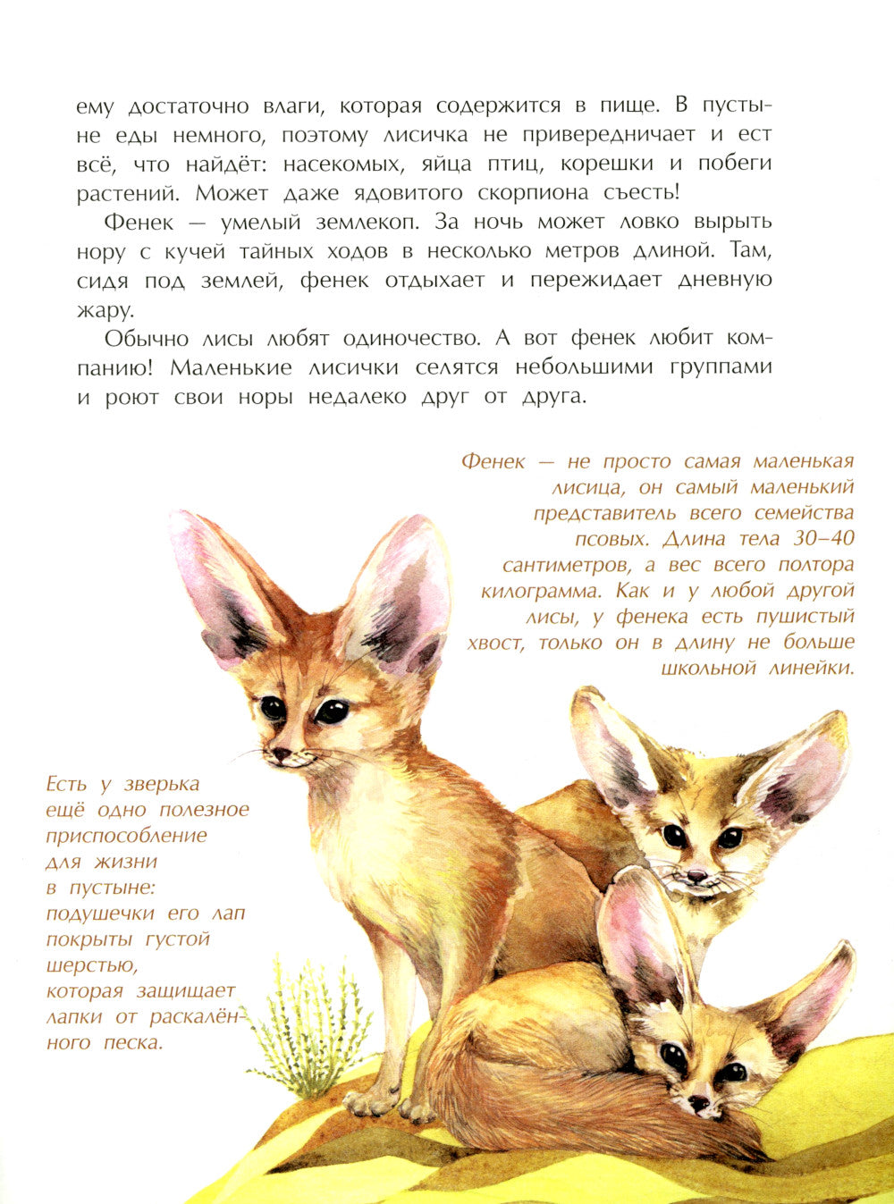 Животные-малютки. Кто на свете меньше всех? Вып. 163. 4-е изд