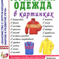 Мужская одежда в картинках. Наглядное пособие для педагогов, логопедов, воспитателей и родителей