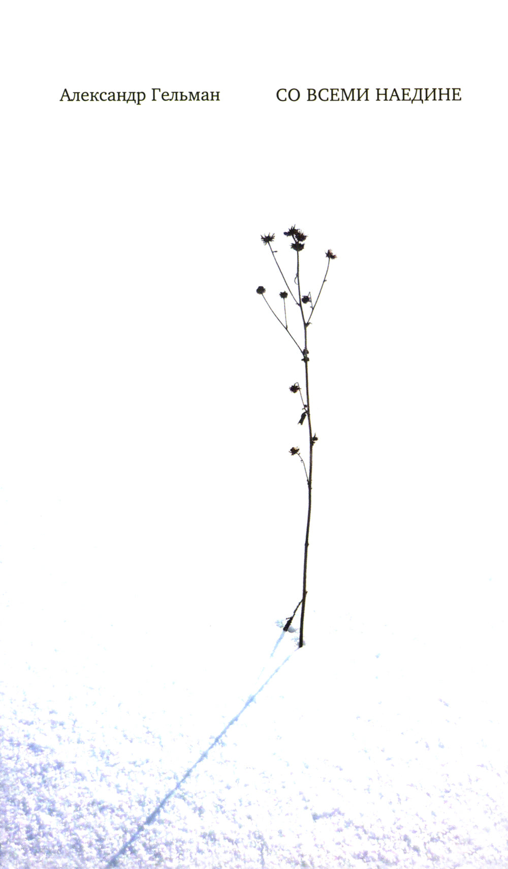 Со всеми наедине: Стихотворения. Из дневника. Записи разных лет. Альмар