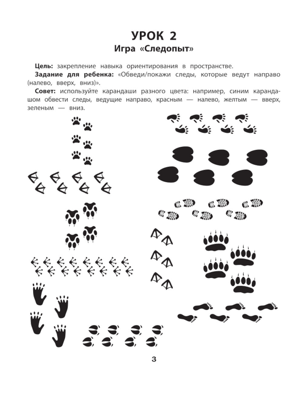 Логика. Память. Интеллектуальная лабильность: рабочая нейротетрадь для дошкольников. 4-е изд