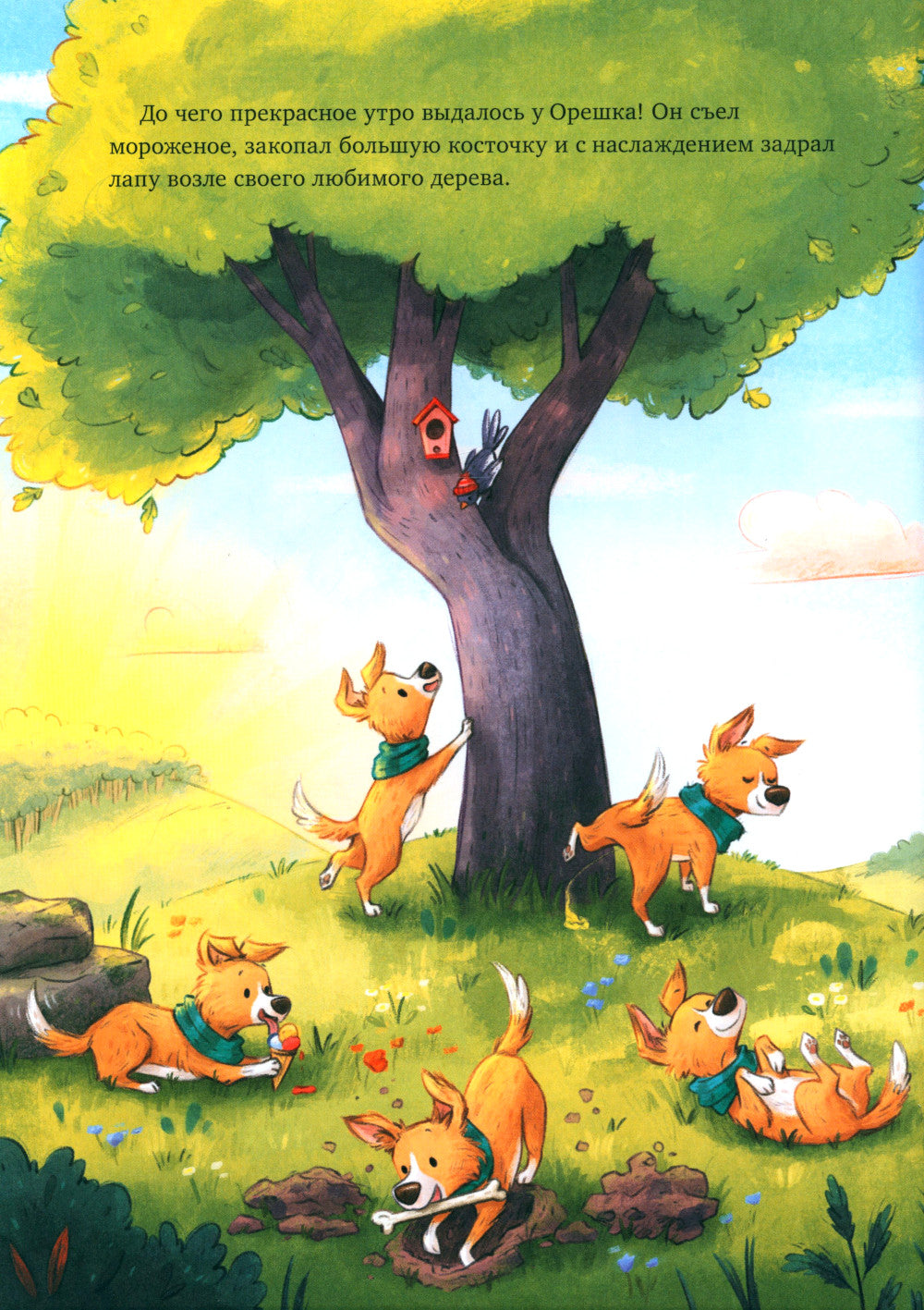 Давай на спор!