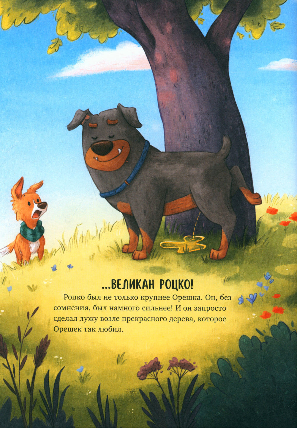 Давай на спор!