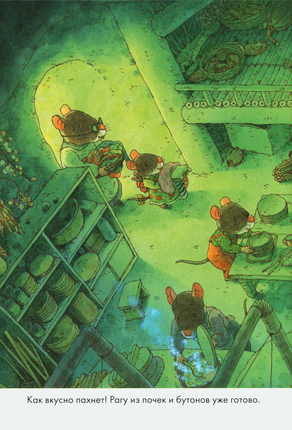 14 heures. Collybelnaa