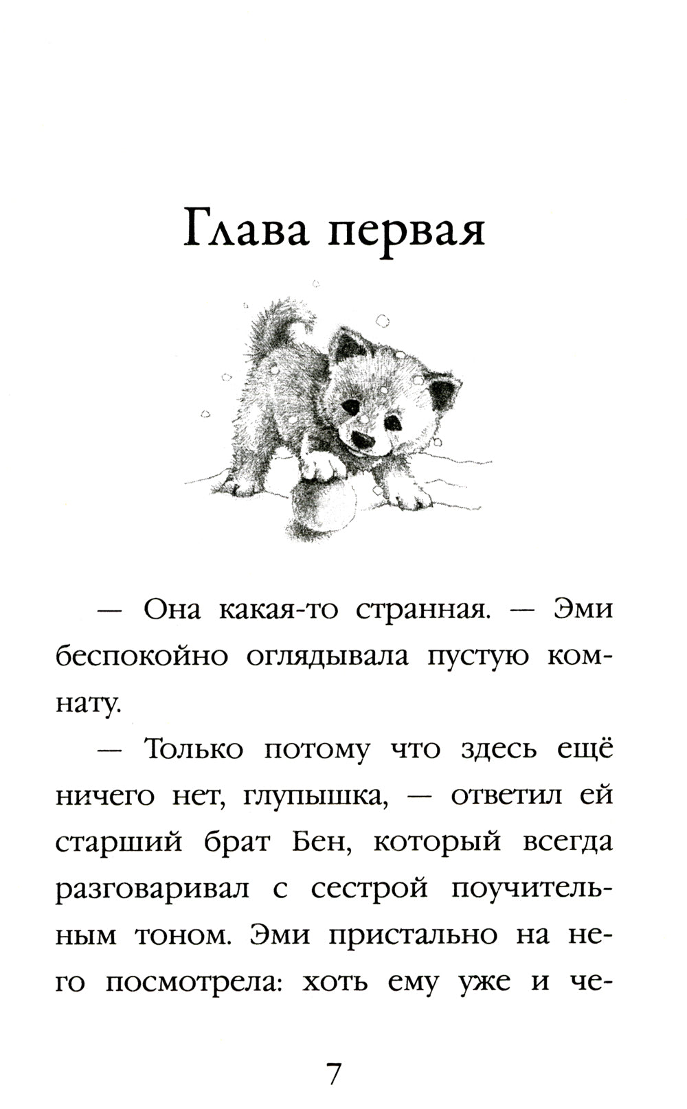 Щенок Рина, или Таинственное путешествие