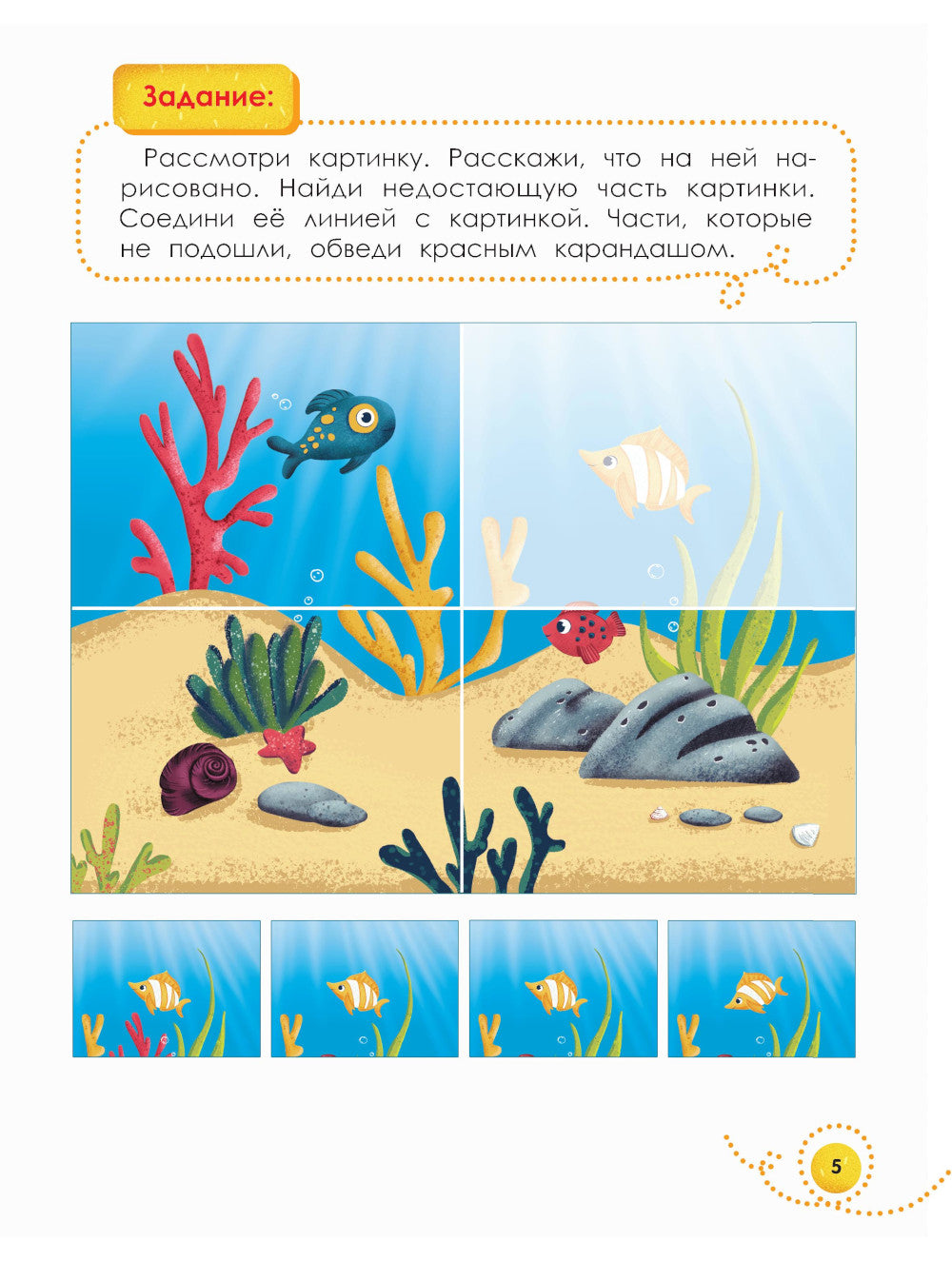 Il y a 3 ans : j'ai découvert la photo. 4-ème jour