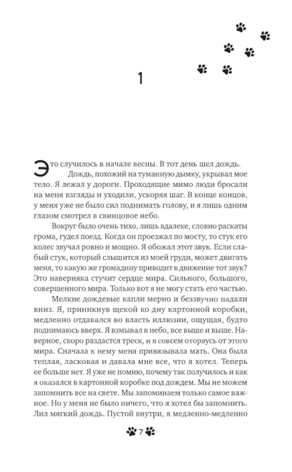 Она и ее кот: роман