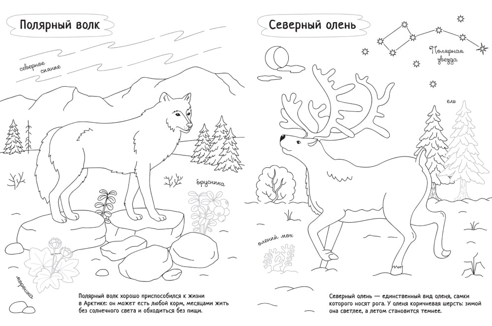 Раскрась Россию. Набор из 2 кн