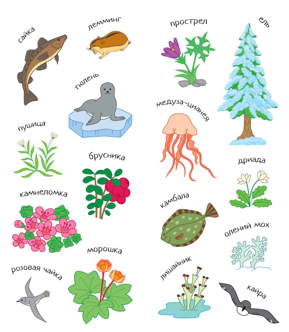 Раскрась Россию. Набор из 2 кн