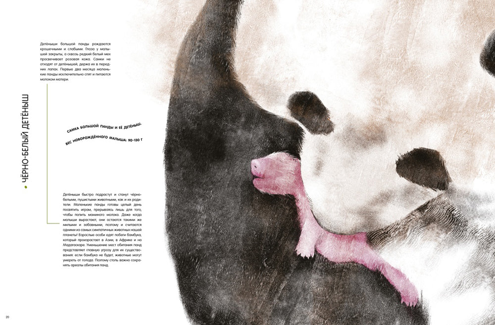 Детеныши животных в естественной величине