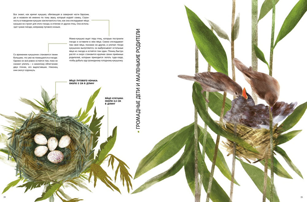 Детеныши животных в естественной величине