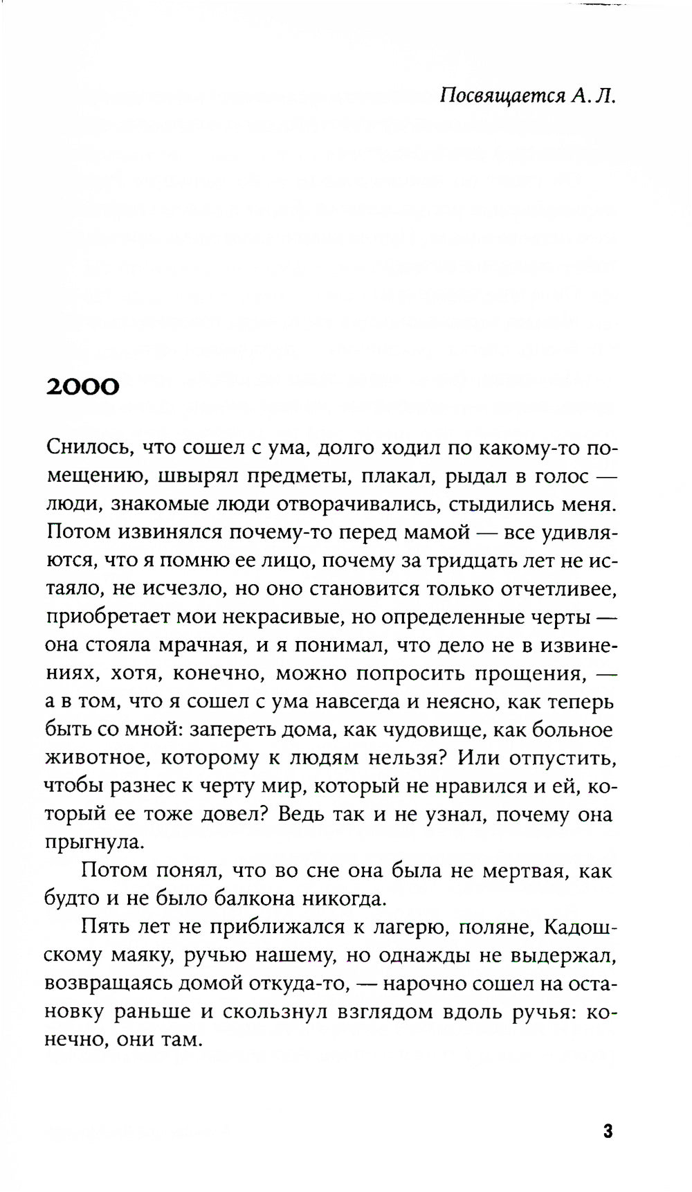 Камни поют: роман