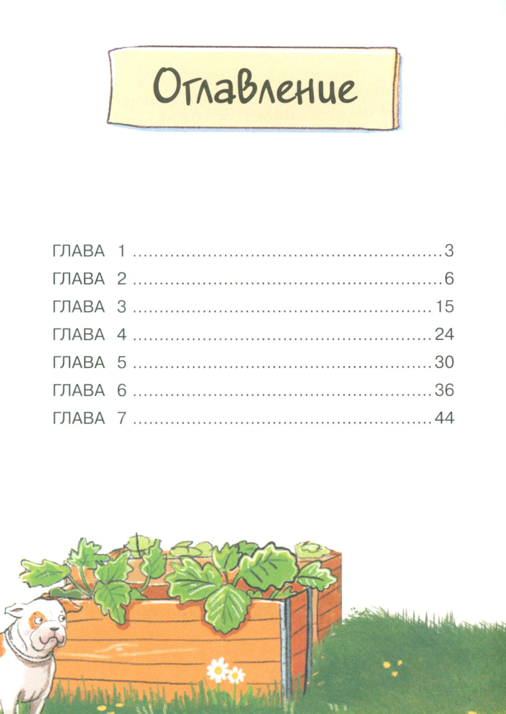 Бюро желаний. Кн. 3. Quel est le problème?
