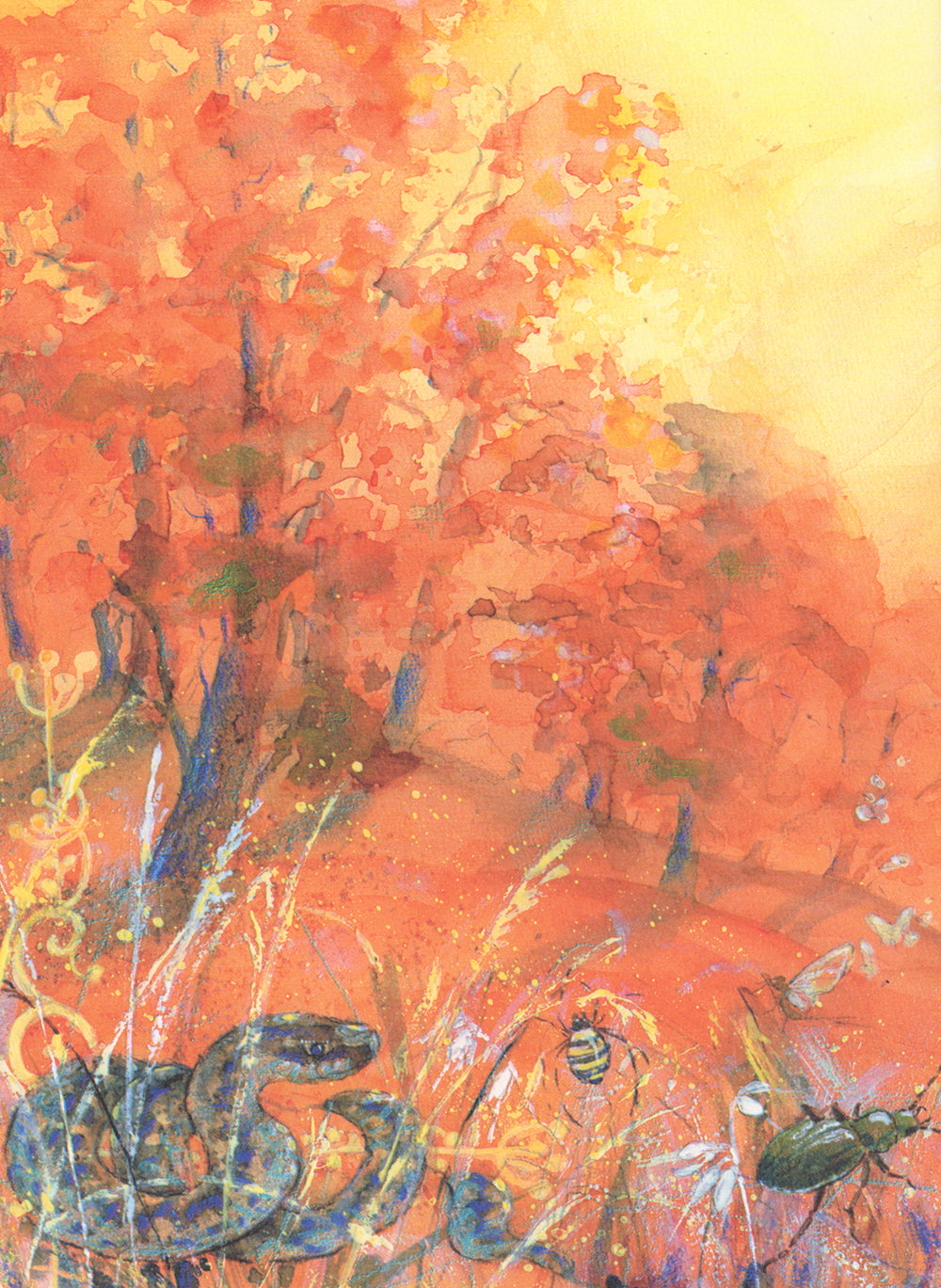 Регентруда