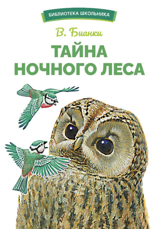 Тайна ночного леса. Сказка и рассказ