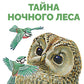 Тайна ночного леса. Сказка и рассказ