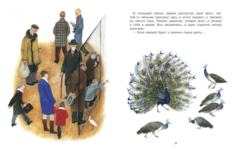 Informations sur les vêtements du bébé