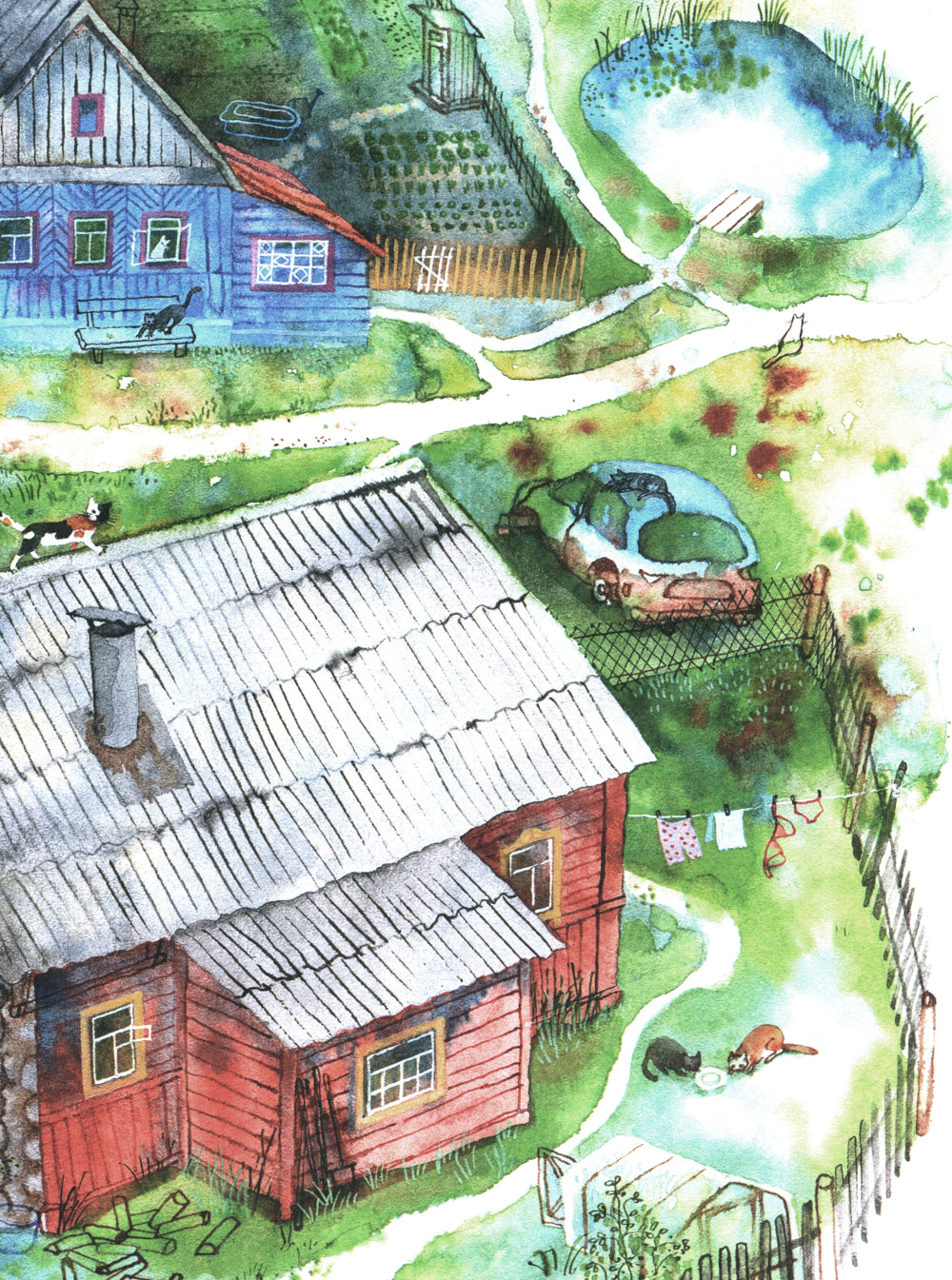 Кот в ведре. Рассказы о животных