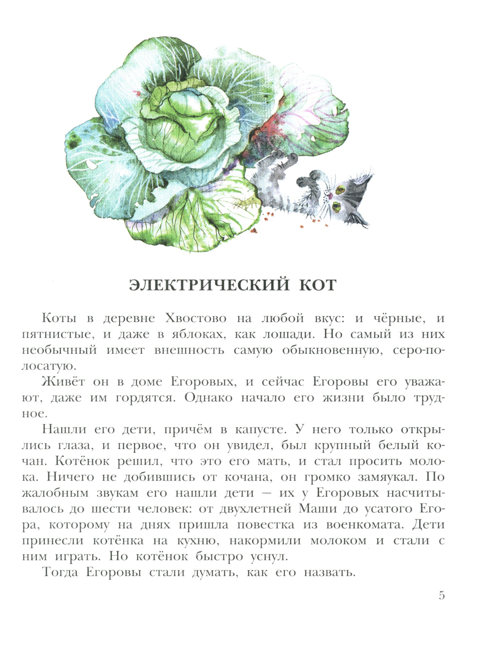 Кот в ведре. Рассказы о животных