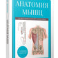 Анатомия мышц: иллюстрированный справочник